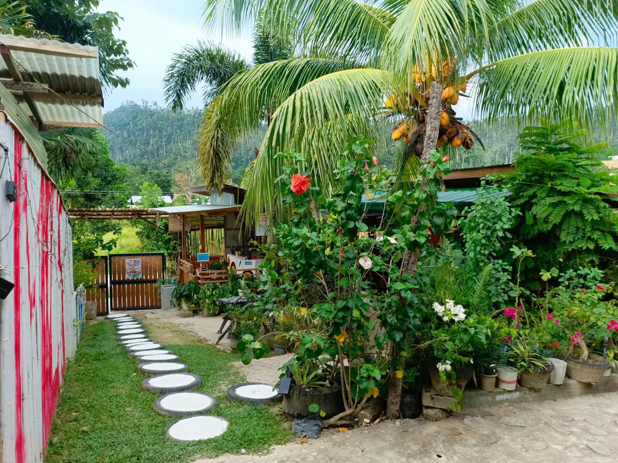 Mil'S Hillside Tourist Inn Сан-Висенте Экстерьер фото